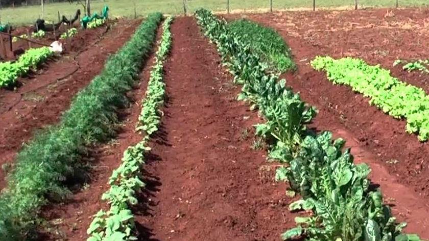 Avanza un proyecto que crea un programa de financiamiento para la agricultura familiar