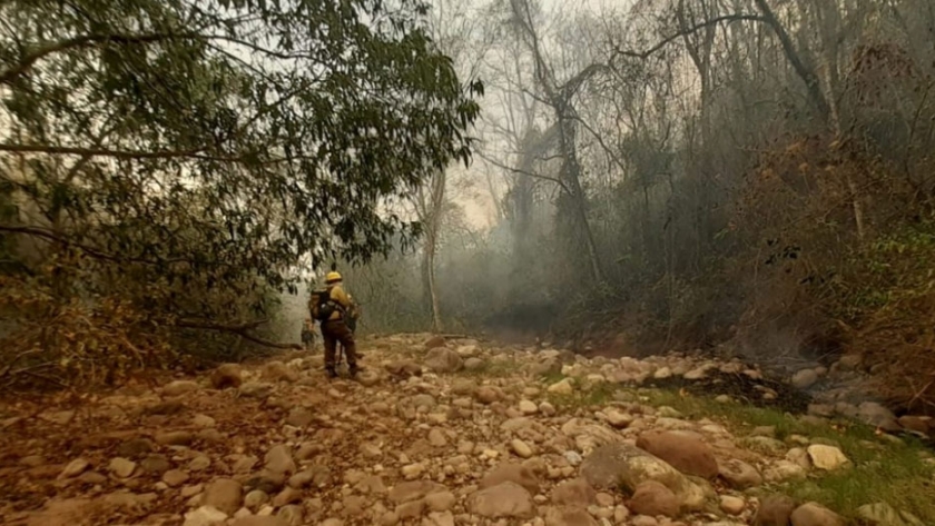 Combatirán el frente directo del incendio en el parque nacional Calilegua