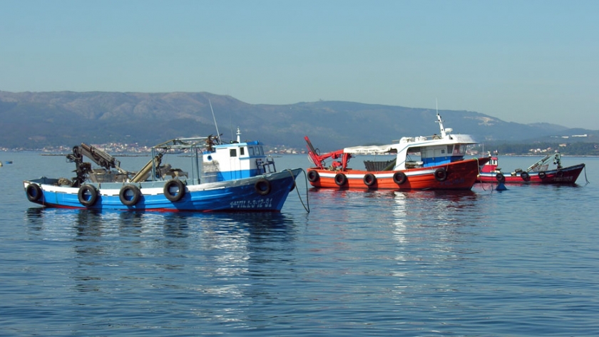 Prorrogan renovaciones de licencias de pesca comercial y títulos de marcas y señales