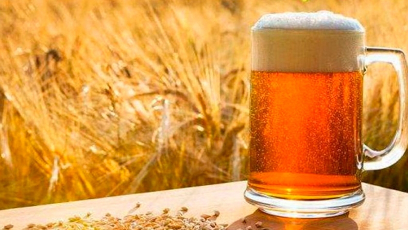 Argentina busca colocar más de su cebada en las cervezas de China