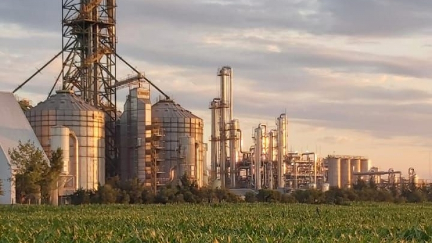 Aprueban la comercialización de las primeras levaduras genéticamente modificadas (GM) para mejorar la producción de bioetanol en la Argentina