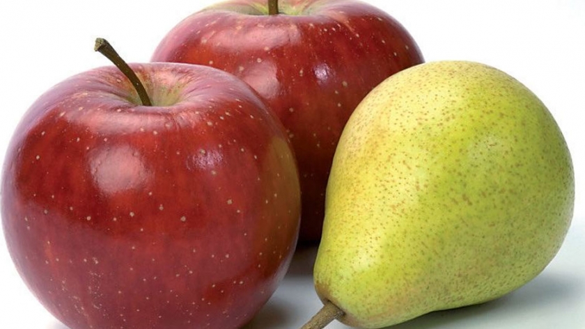 Sanidad de los frutales: mosca de los frutos y polilla de la pera y la manzana