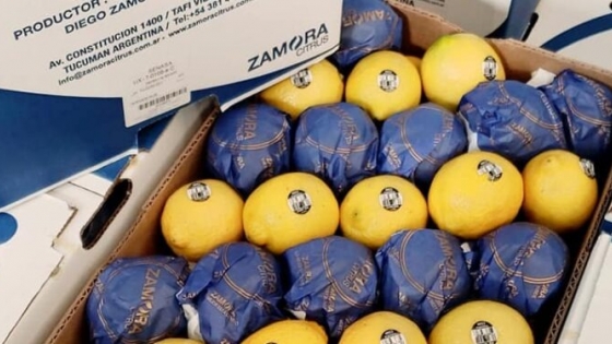 De Tafí Viejo a Hong Kong: Una empresa tucumana logró exportar sus primeros limones a China