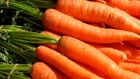 La zanahoria, una protagonista del mercado central