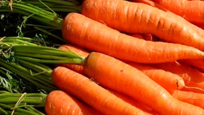 La zanahoria, una protagonista del mercado central