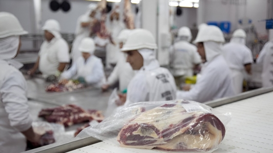 Leve caída en la faena bovina durante mayo, pero producción de carne mantiene crecimiento