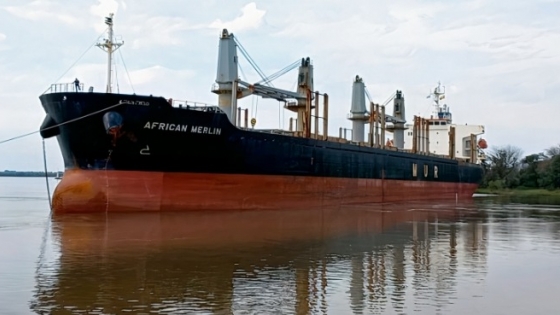Intensa actividad de exportación en los puertos entrerrianos