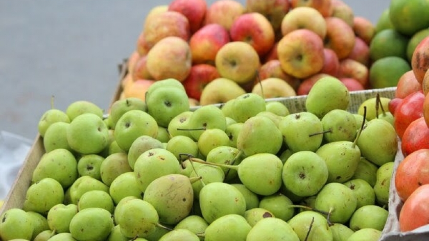 La fruta orgánica: Un pilar de la exportación argentina