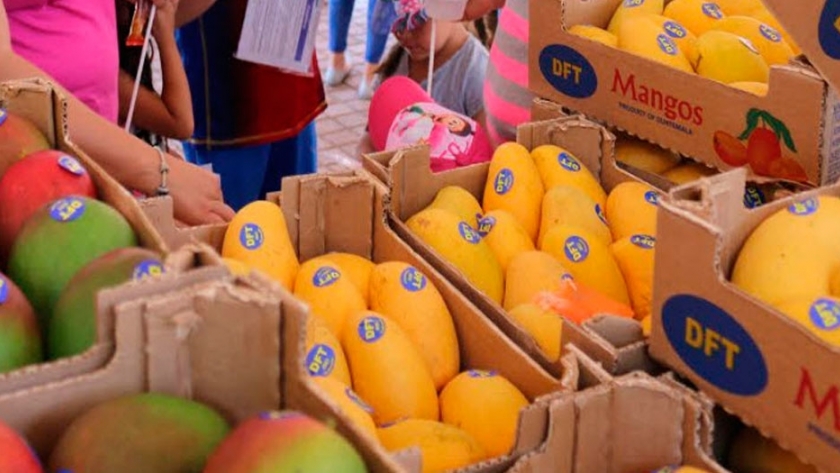 El Festival de mango de exportación estrena el verano 2019