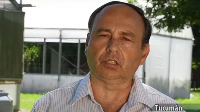 Miel de azahar tucumana: primer producto argentino con Indicación Geográfica que mejora ingresos