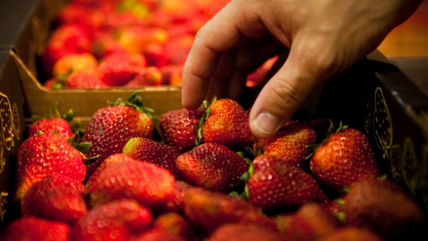 Las exportaciones de Alimentos y Bebidas de las economías regionales se recuperaron en valor y precio promedio
