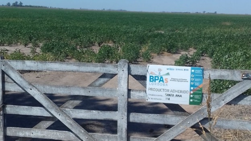 Ciclo 2020 de BPAs, con plazo de presentaciones hasta el 30 de septiembre