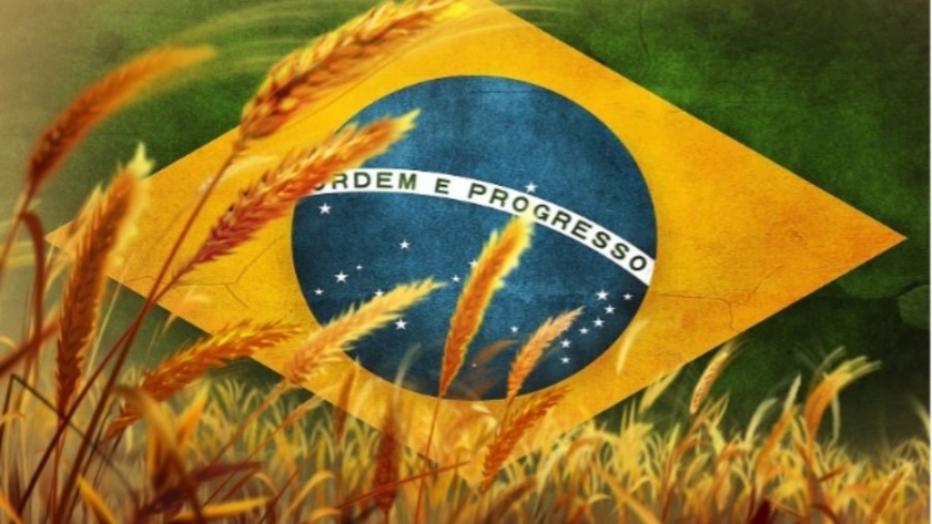Brasil espera menores cosechas de maíz y trigo