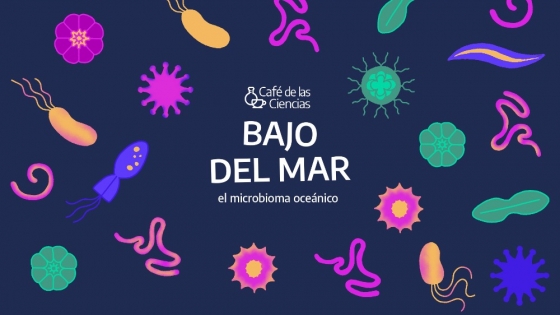 “El microbioma marino es un pool de diversidad” | Agroempresario.com