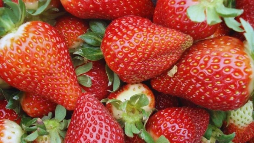 Innovación chaqueña: polvos frutales que extienden la vida de frutillas y mamones