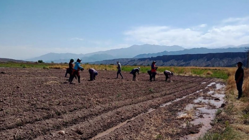 Ruta 40: un plan estratégico hacia el progreso