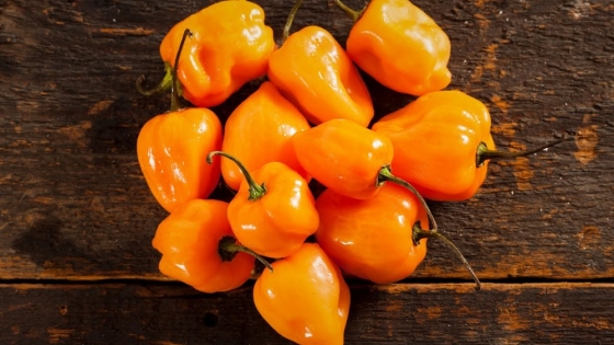 Chile habanero; aroma, sabor, propiedades… y picante