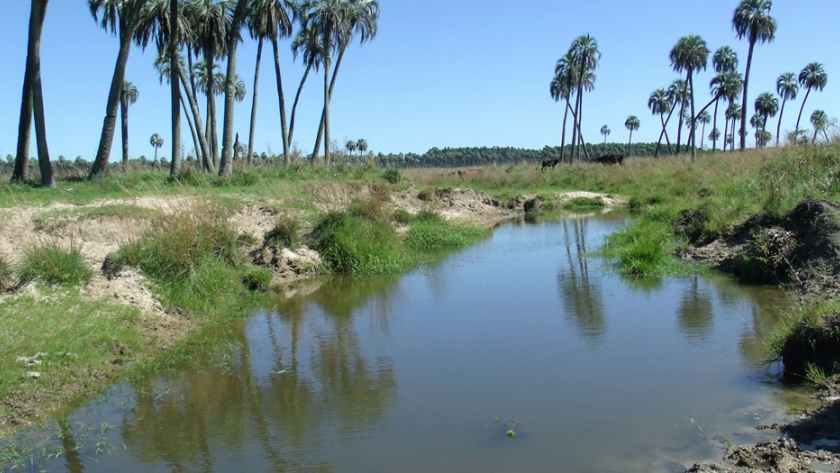 La Provincia financiará proyectos con impacto local que beneficien el ambiente y la comunidad