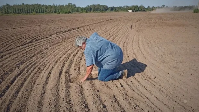 Es horticultor, aprendió a caminar entre “los surcos de papa” y sufre la fuerte sequía: “No llegamos ni a la mitad de la producción”