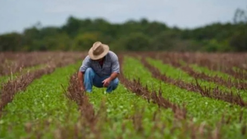 Cuánto cobra un ingeniero agrónomo: los salarios de cada provincia y la diferencia contra un profesional del agro en el exterior
