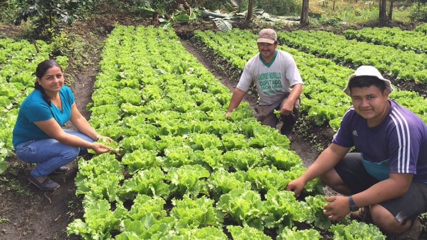 La provincia promueve la compra de alimentos primarios a productores locales de la economía social