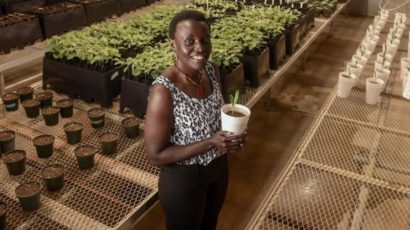 Esther Ngumbi, la cara visible de África como futura potencia alimentaria