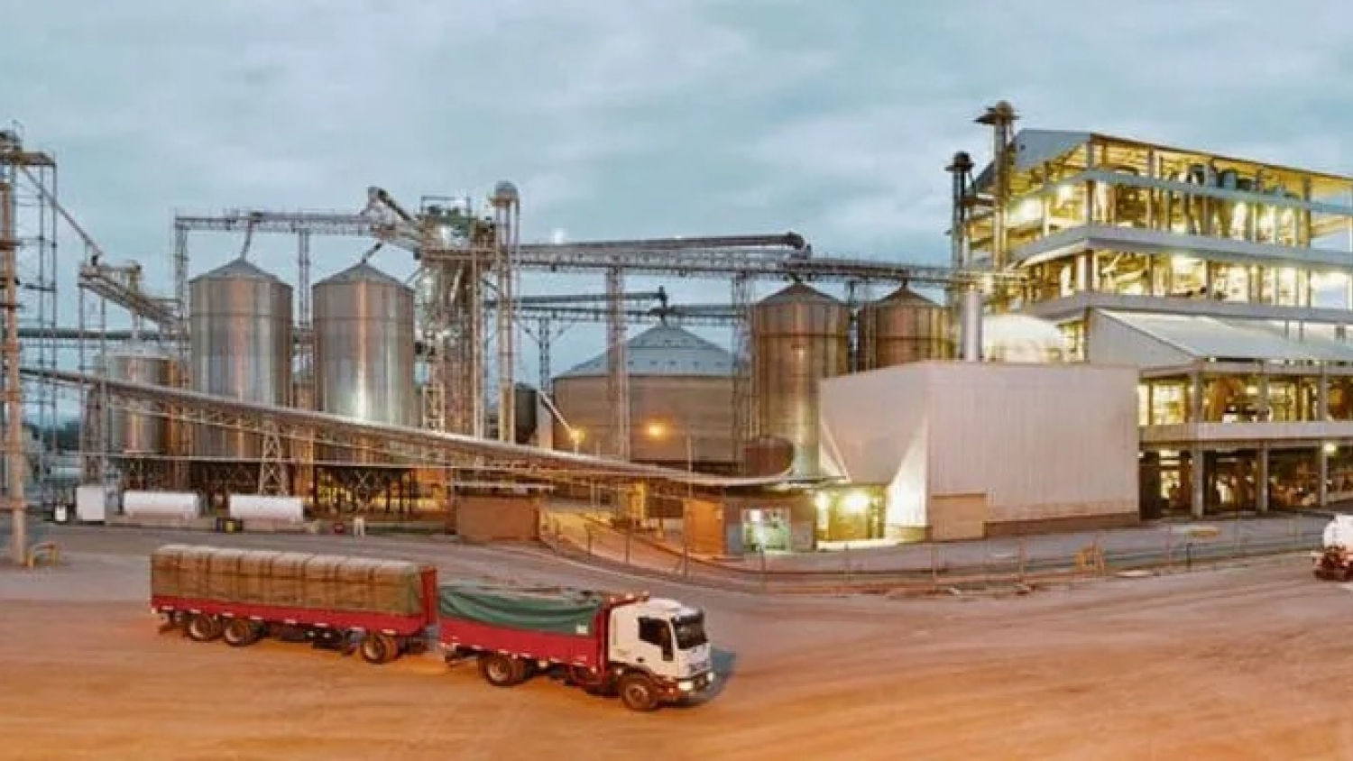 La industria aceitera alcanzó un máximo histórico en 2025 y procesó casi 48 millones de toneladas