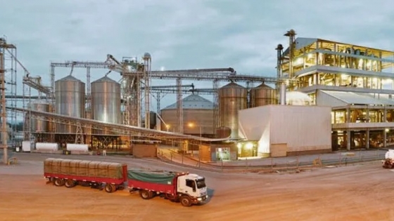 La industria aceitera alcanzó un máximo histórico en 2025 y procesó casi 48 millones de toneladas