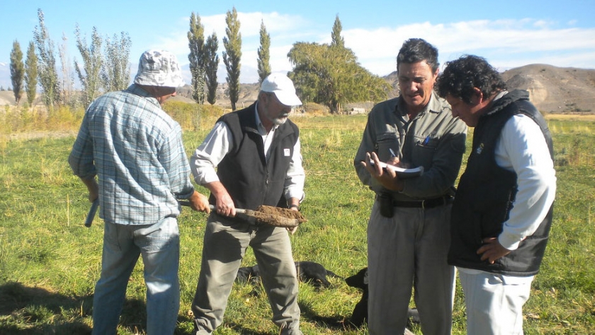 Estudian la aptitud de los valles de Tulum y Calingasta para producir pistacho, almendro y nogal