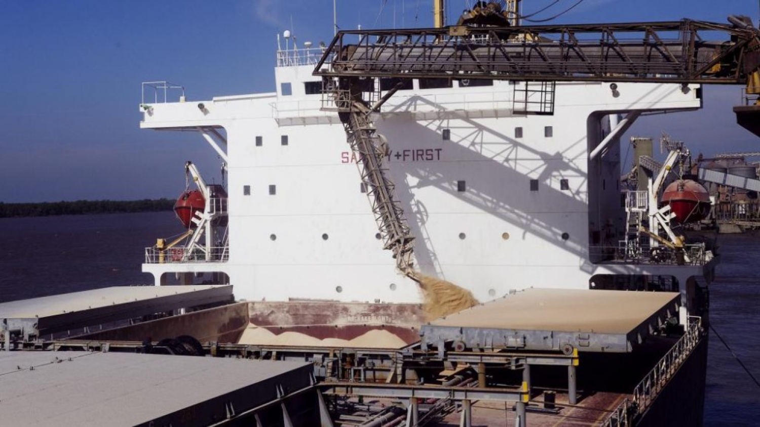 Puertos más eficientes: el SENASA acuerda con el sector privado para agilizar controles en exportaciones granarias