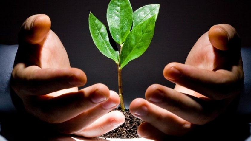 Se capacitó sobre “Concientización Ambiental” para la formación de promotores ambientales municipales dentro del Plan Potenciar