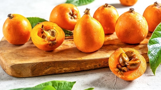 El árbol del níspero tiene un nombre científico sorprendente