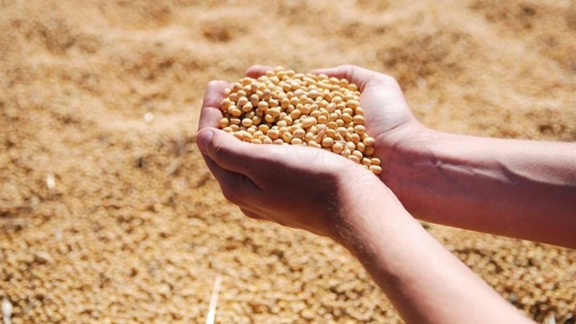 Baja temporal de retenciones: la venta de soja apenas alcanzaría los US$2.800 