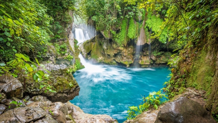 San Luis aprobó la Ley de Monumentos Naturales y se consolida en el cuidado de la biodiversidad