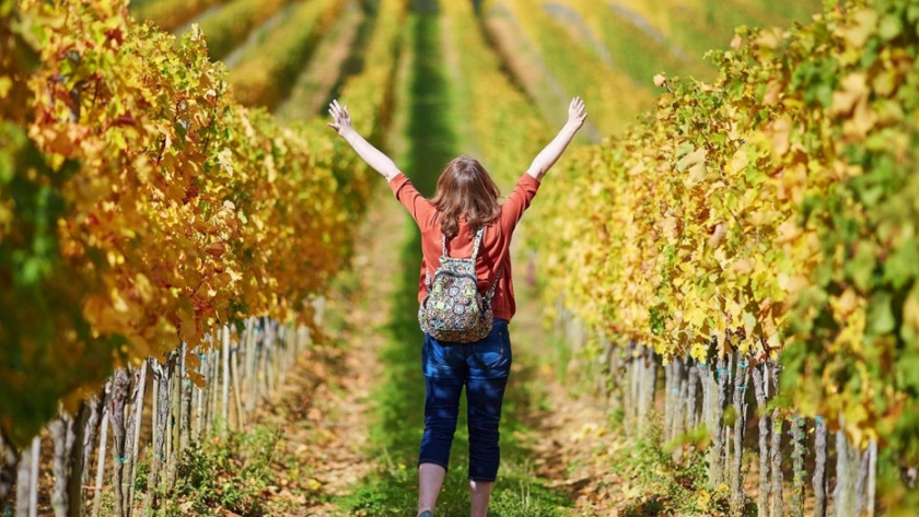 Un ciclo de charlas para conocer más sobre enoturismo y vitivinicultura