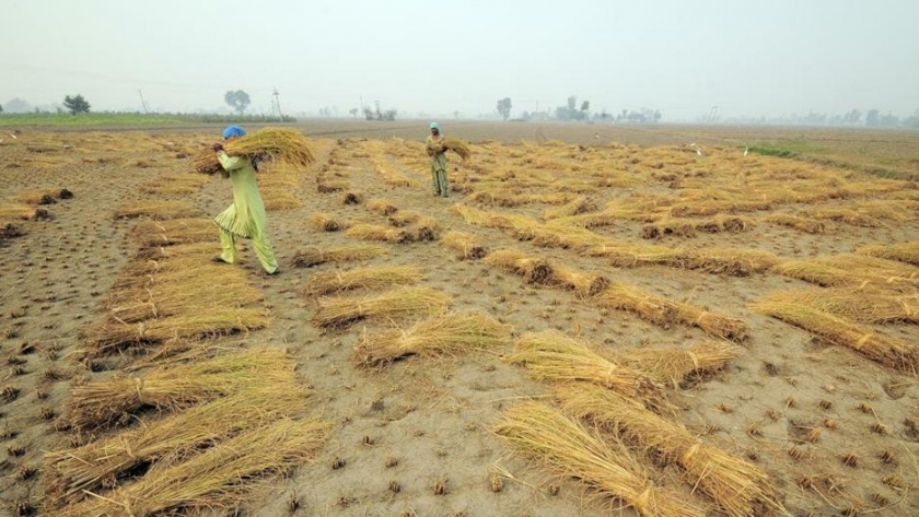 Los cambios en las estaciones de lluvias de Sudáfrica podrían afectar la agricultura y los recursos hídricos