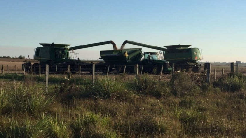 “En el agro, el mercado argentino es el futuro, porque tiene un potencial que otros no tienen”