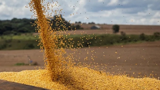 Cierran el registro de exportaciones de granos y subproductos