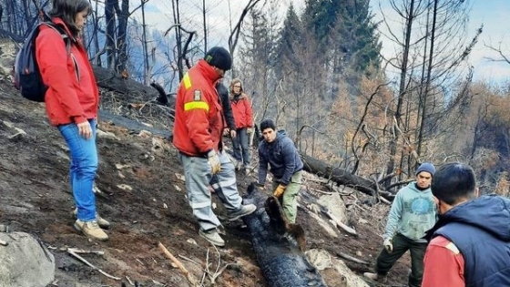 El gobierno provincial comenzó con trabajos de remediación post incendio