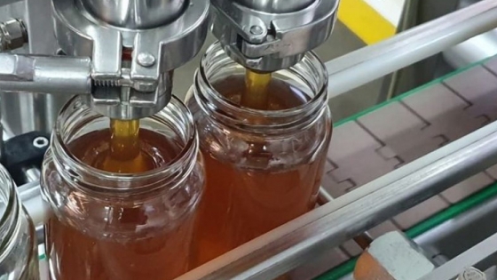 Desarrollo apícola: Producción expuso sobre certificación orgánica de la miel en la provincia