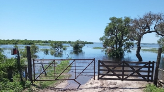 Las regiones productivas de Corrientes están en alerta ante pronósticos de una nueva tanda de lluvias intensas