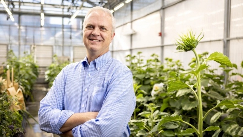 Edison Agrosciences asegura fondos para revolucionar la producción de caucho con girasoles
