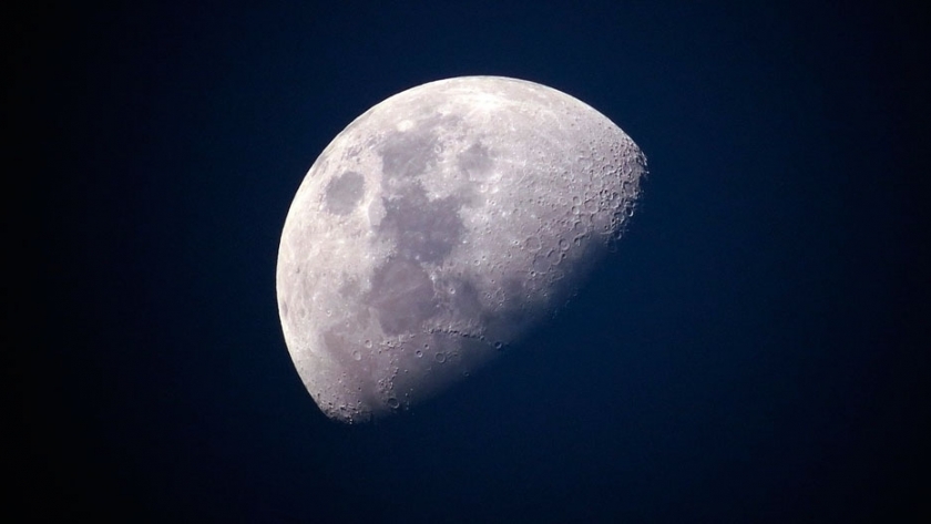 Fracasa el experimento de cultivo de algodón en la luna