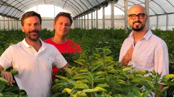 Lo trajo Sarmiento: Argentina ya produce 4000 toneladas de nuez pecán con Abel Pintos como embajador