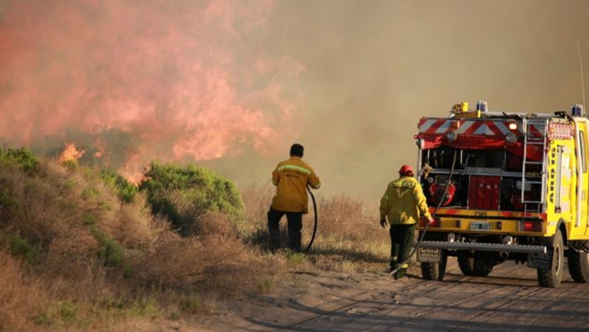 Multas y quita de subsidios a quienes no cuenten con picadas cortafuego