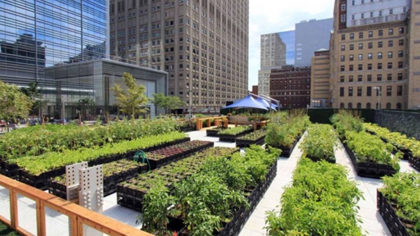 Las huertas urbanas están de moda