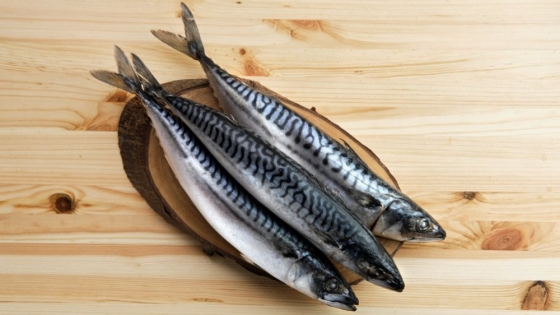 La caballa, el superalimento olvidado que supera al salmón en Omega-3 y beneficios para la salud