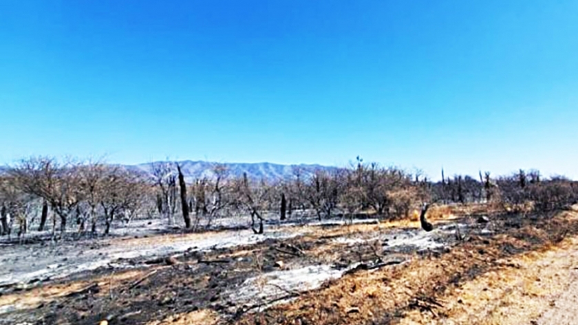 Agricultura declara el estado de desastre agropecuario en Córdoba por los incendios
