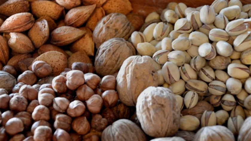 Economía impulsa programa de inversiones en modernización tecnológica destinado a productores de frutos secos
