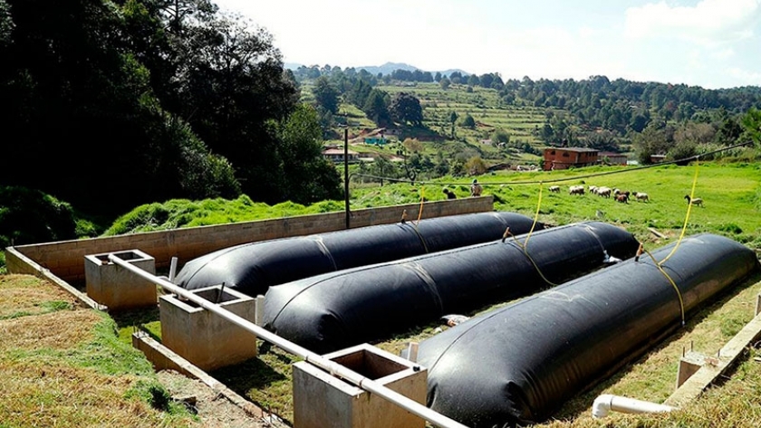 Los beneficios de tener biodigestores en los establecimientos productivos